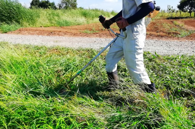 草刈り・草むしり,和歌山全域,南大阪,便利屋,南クリーンサービス